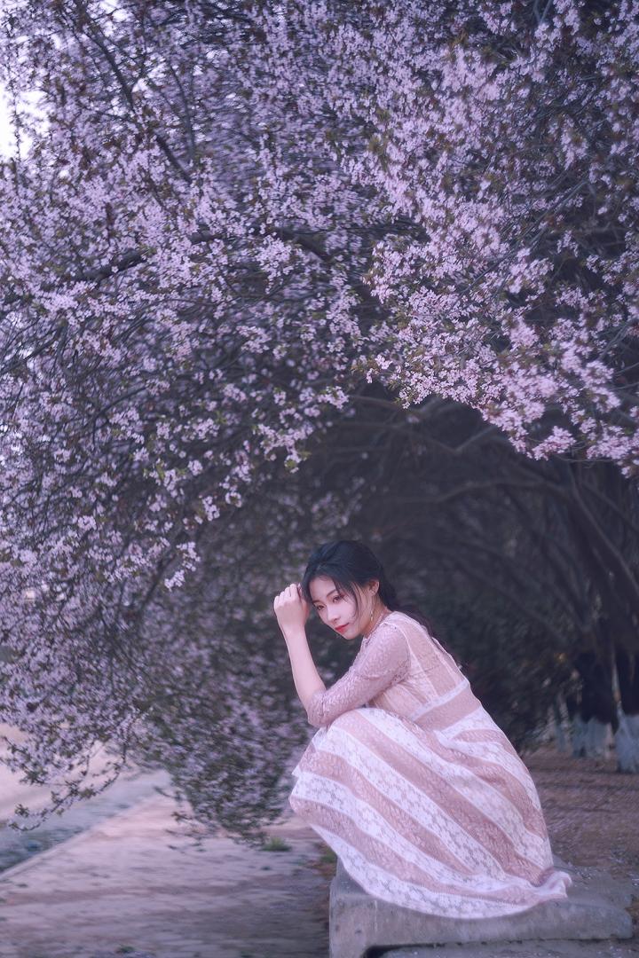 摄影日记：微风中的樱花和你